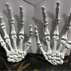 Halloween Skull Claw Funny