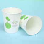Office water cups, paper cups