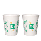 Office water cups, paper cups