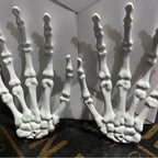Halloween Skull Claw Funny
